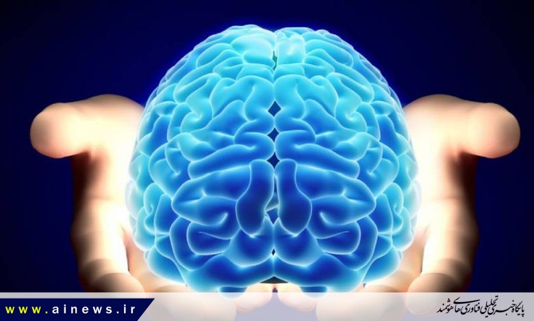 کپی مغز انسان روی تراشه های سه بعدی؛ از رویا تا واقعیت