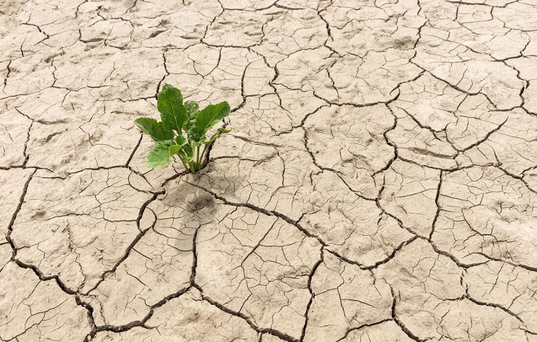 رویکرد مبتنی بر فناوری بلاکچین برای مدیریت خشکسالی