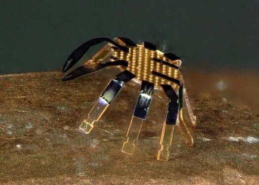 خرچنگ رباتیک کوچکتر از کَک؛ کارآمد و جذاب