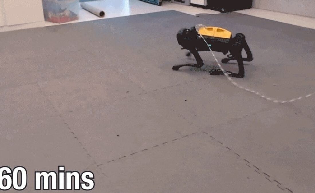 این سگ رباتیک خودش راه رفتن را یاد می‌گیرد/ویدیو