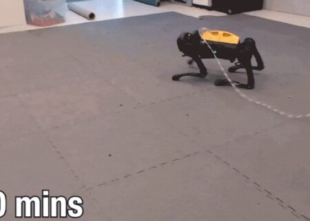 این سگ رباتیک خودش راه رفتن را یاد می‌گیرد/ویدیو