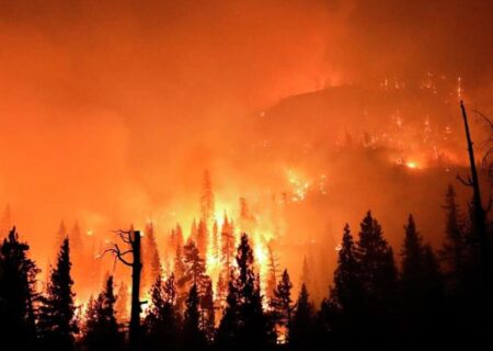 الگوریتم جدید مبتنی بر هوش مصنوعی می‌تواند آتش سوزی جنگل‌ها را پیش بینی کند