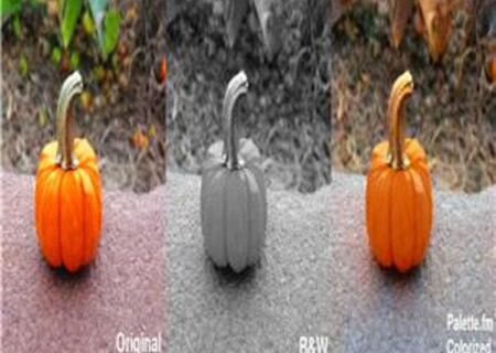 رنگی شدن خودکار عکس‌های سیاه و سفید با ابزار هوش مصنوعی